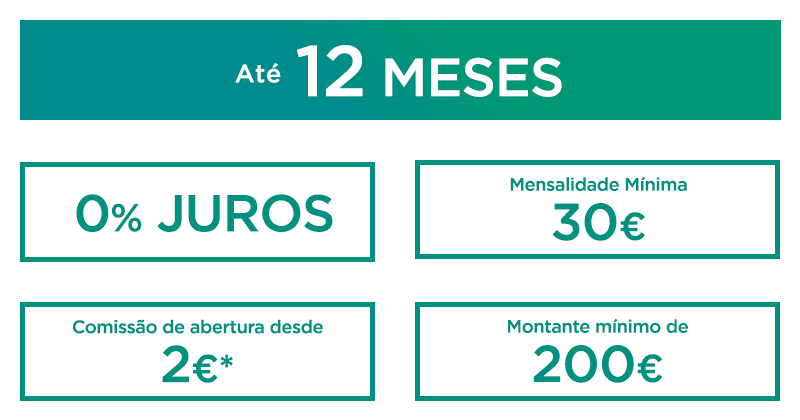 12 meses