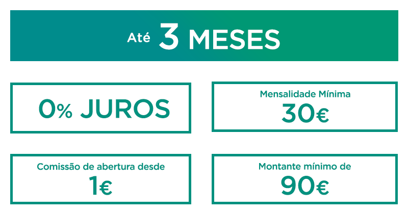 3 meses