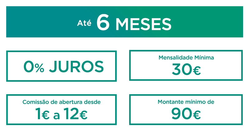 6 meses